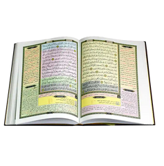 الحافظ المتقن