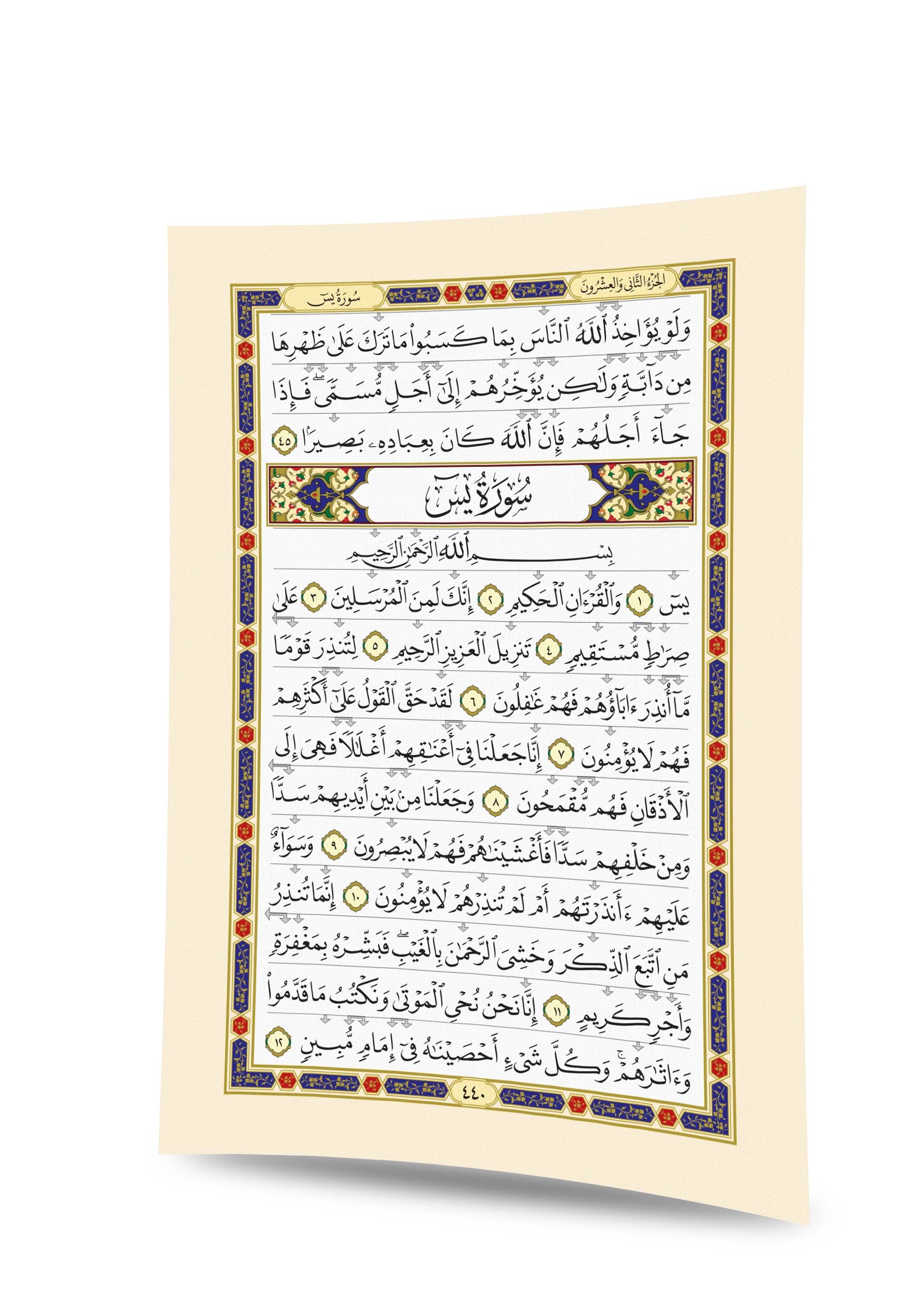 معلم التجويد الناطق